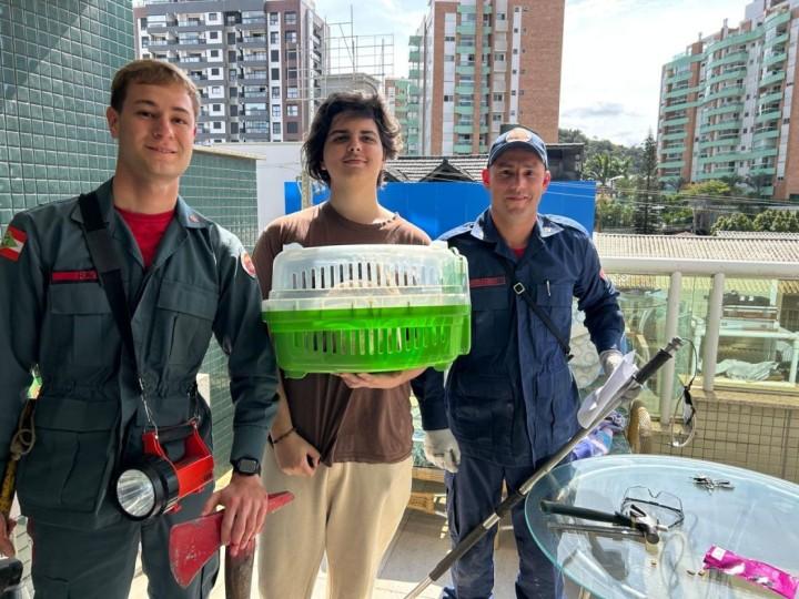 Bombeiros resgatam gato preso em chaminé