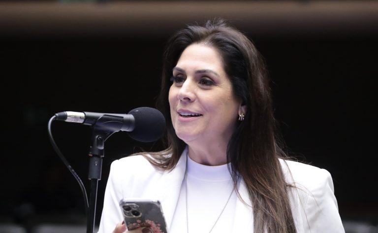 Imagem de São Miguel Arcanjo - Dia Nacional