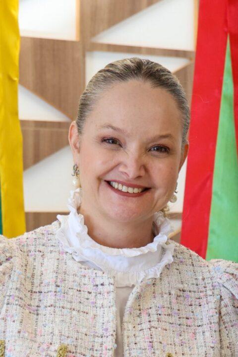 Capa do livro 'Ministério Público e Democracia' de Vanessa Cavallazzi