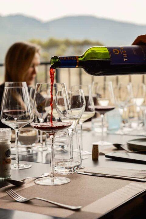 Evento de networking e vinhos na Vinícola Thera