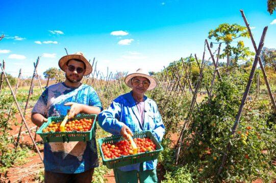 Agricultura Familiar - Pronaf e Plano Safra