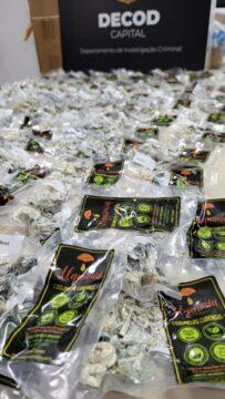 Cogumelos Psilocibínicos