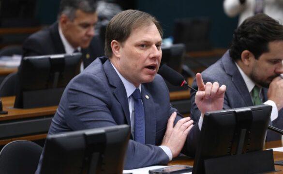 Árvore de erva-mate produtora de semente