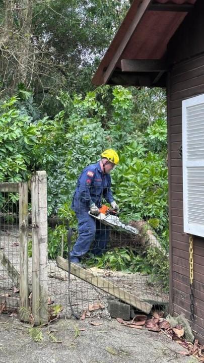 Bombeiros removendo árvore em Florianópolis