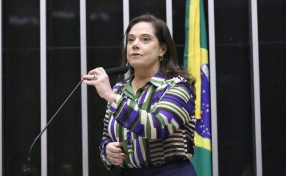 Projeto de Lei 2562/25 - Dia Internacional das Meninas