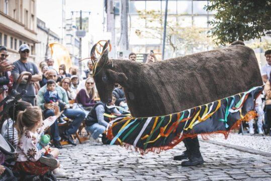 Feira Viva a Cidade - Dia das Crianças