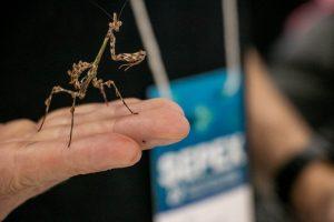Feira de Ciências da UFSC - Cultura Oceânica e Mudanças Climáticas