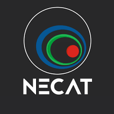 Assinatura digital do Informativo Necat