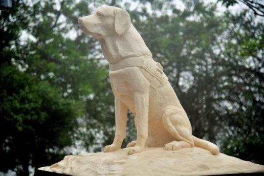 Estátua de Ice, o primeiro cão guarda-vidas do Brasil