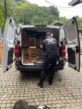 Animais silvestres apreendidos durante a operação policial