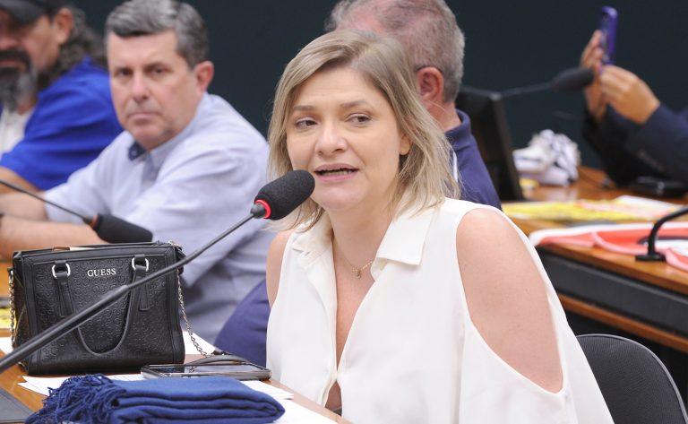 Imagem representativa de um projeto de lei relacionado à violência contra a mulher