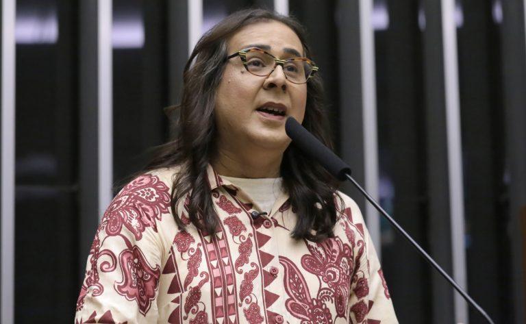 Inclusão de indígenas e imigrantes na política brasileira