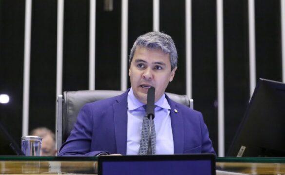 Animais em transporte