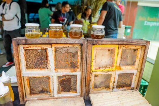 Agricultura Familiar - Imagem ilustrativa