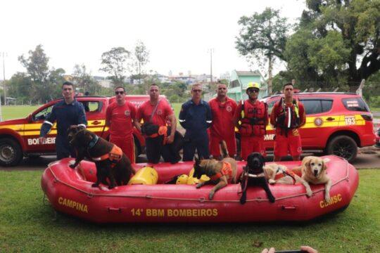 Binômio de busca do CBMSC em atividade de rapel