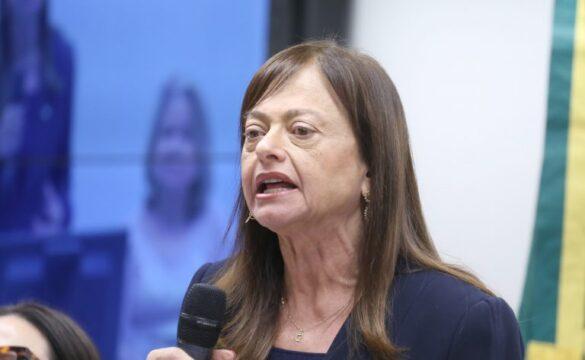 Deputada Alice Portugal na audiência sobre a reforma administrativa