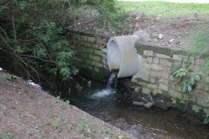 Limpeza de córegos em Florianópolis
