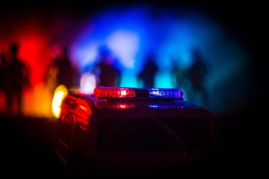 Símbolo da Câmara dos Deputados em destaque