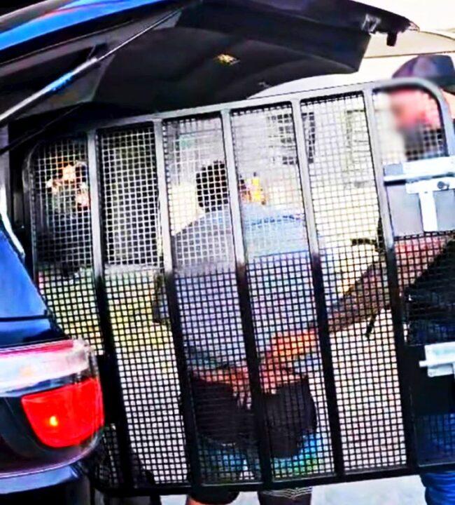 Homem preso pela Polícia Civil de Santa Catarina