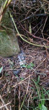 Arma apreendida durante investigação policial