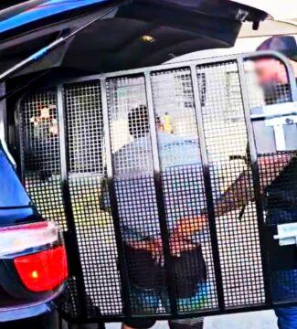 Homem de 18 anos preso pela Polícia Civil em operação contra roubo