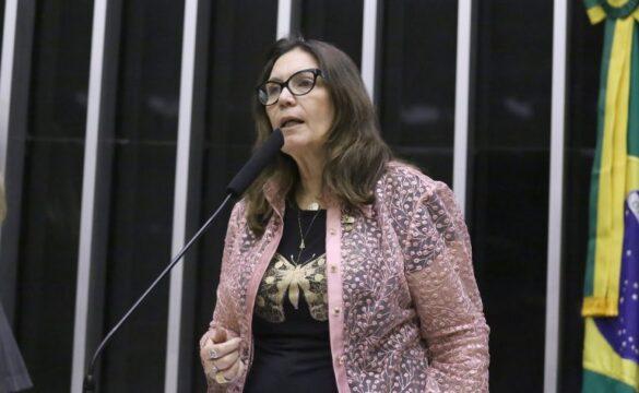 Projeto de Lei - Troca de candidato a vice