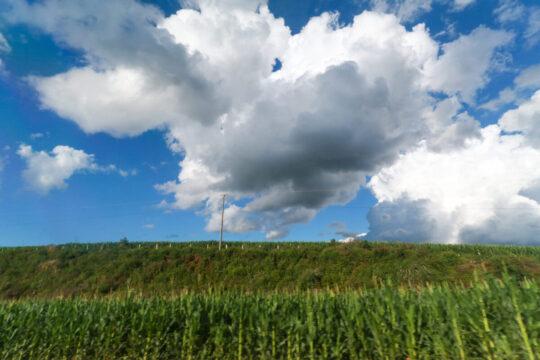 Previsão do tempo em Santa Catarina