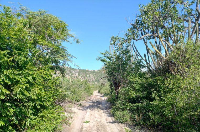 Vista do Vale do Catimbau com natureza preservada