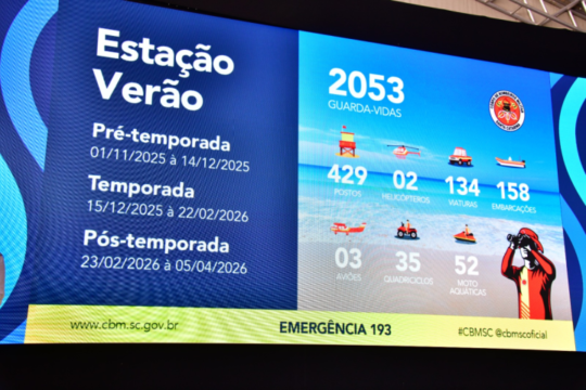 Guarda-vidas atuando na praia