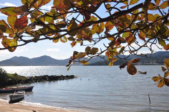 Primavera em Santa Catarina