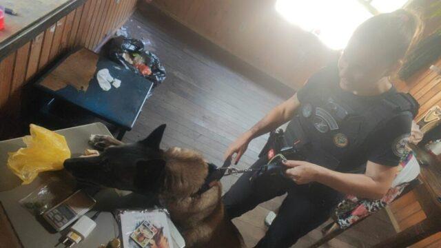 Mulher sendo presa por tráfico de drogas