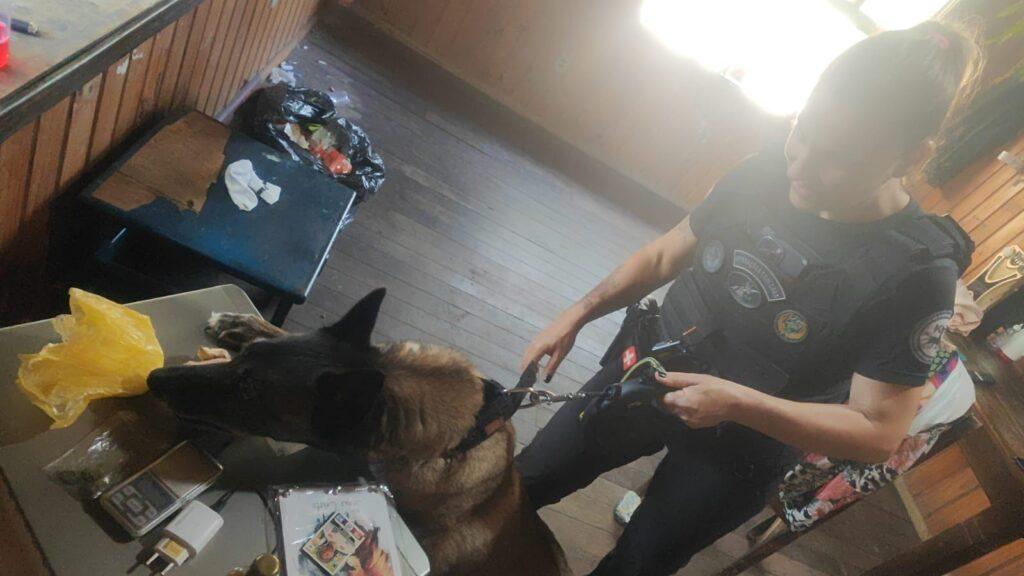 Mulher sendo presa por tráfico de drogas