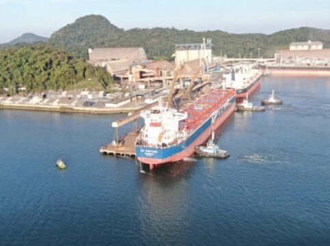 Porto de São Francisco do Sul - Movimentação de cargas em 2025