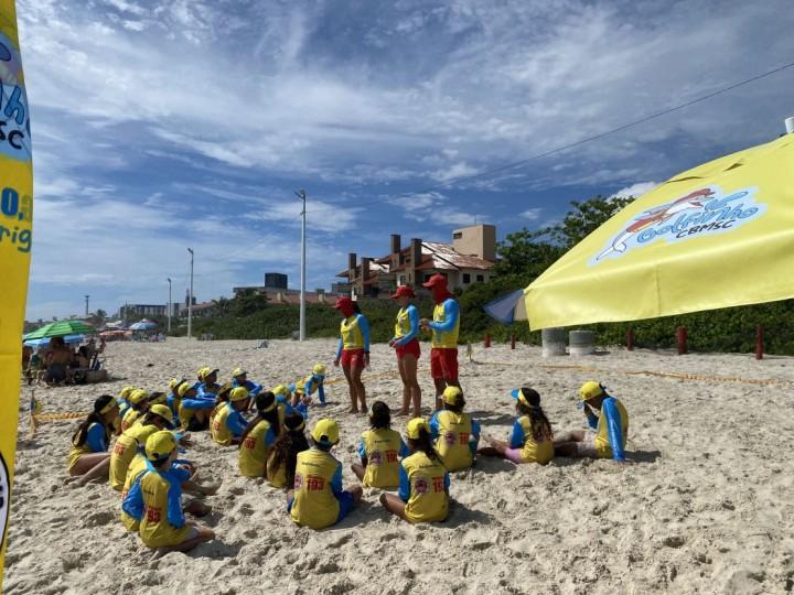 Atividades do Programa Educacional Golfinho em Florianópolis