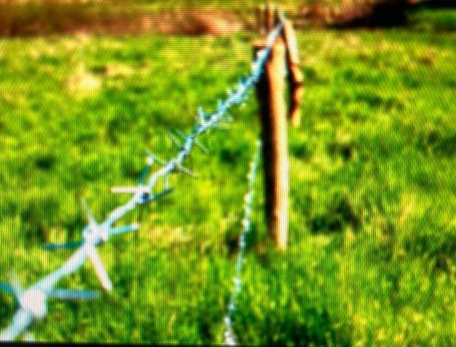 Desavenças entre Vizinhos