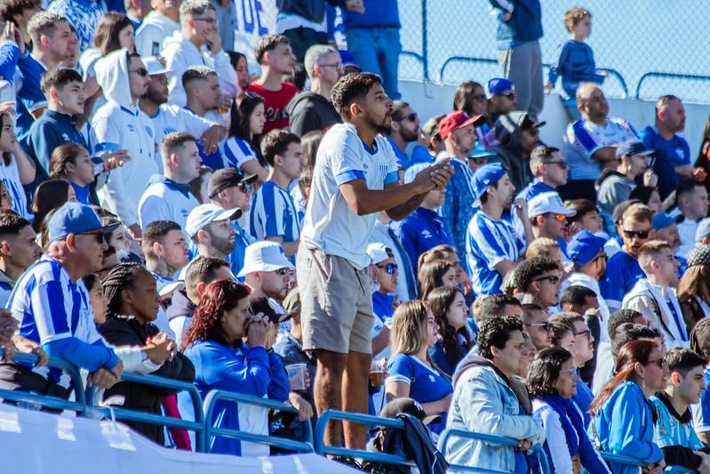 Logo do Avaí e Santos - Brasileirão Sub-20 2026