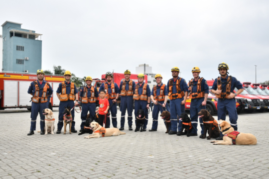 Cães de resgate em treinamento em Santa Catarina