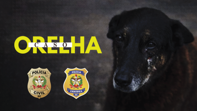 Imagem Investigação Policial