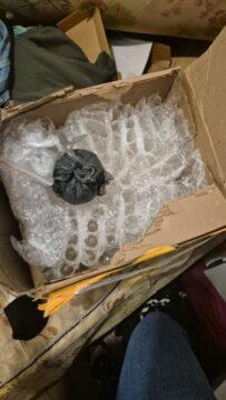 Prisões e apreensões de drogas em São José e Florianópolis