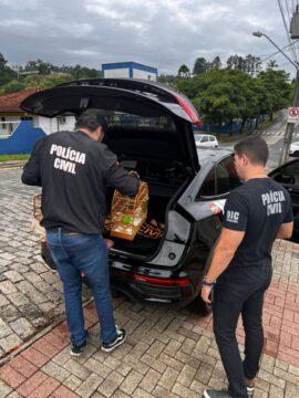 Polícia Civil de Santa Catarina desmantela esquema de falsa assessoria empresarial