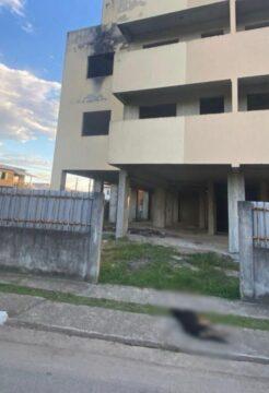 Prisão por maus-tratos a animais em Itajaí