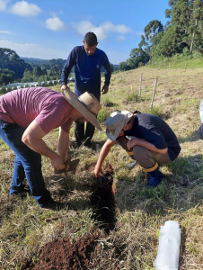 Minhocas e colêmbolos como bioindicadores