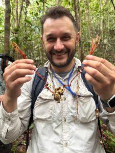 Tarântula infectada por Cordyceps caloceroides