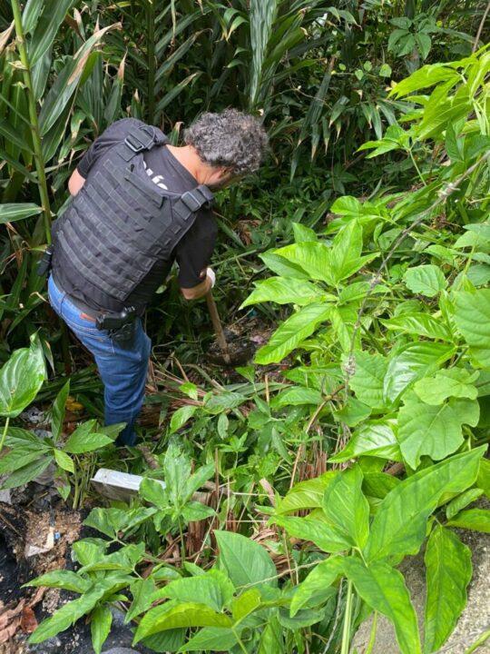 Delegacia de Proteção Animal em Florianópolis