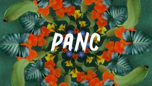 HortPANC - Evento técnico-científico em Florianópolis