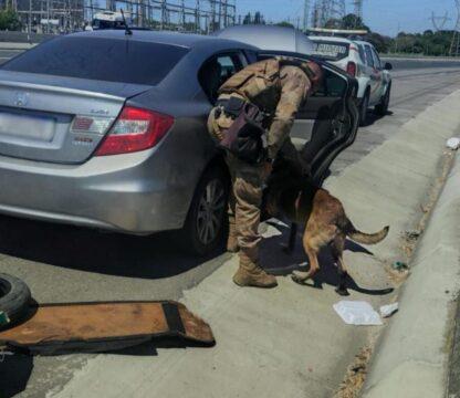Anabolizantes apreendidos em operação policial