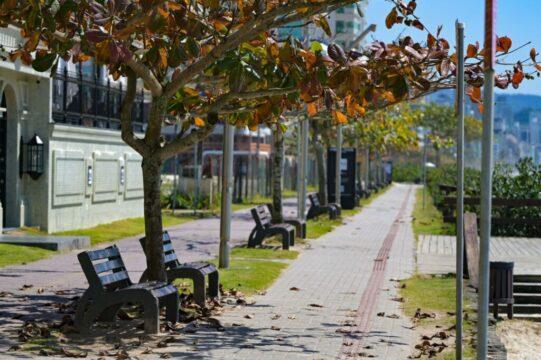 Outono em Santa Catarina - Previsão do Tempo