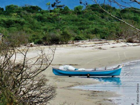Porto Brasil Sul - Baía da Babitonga