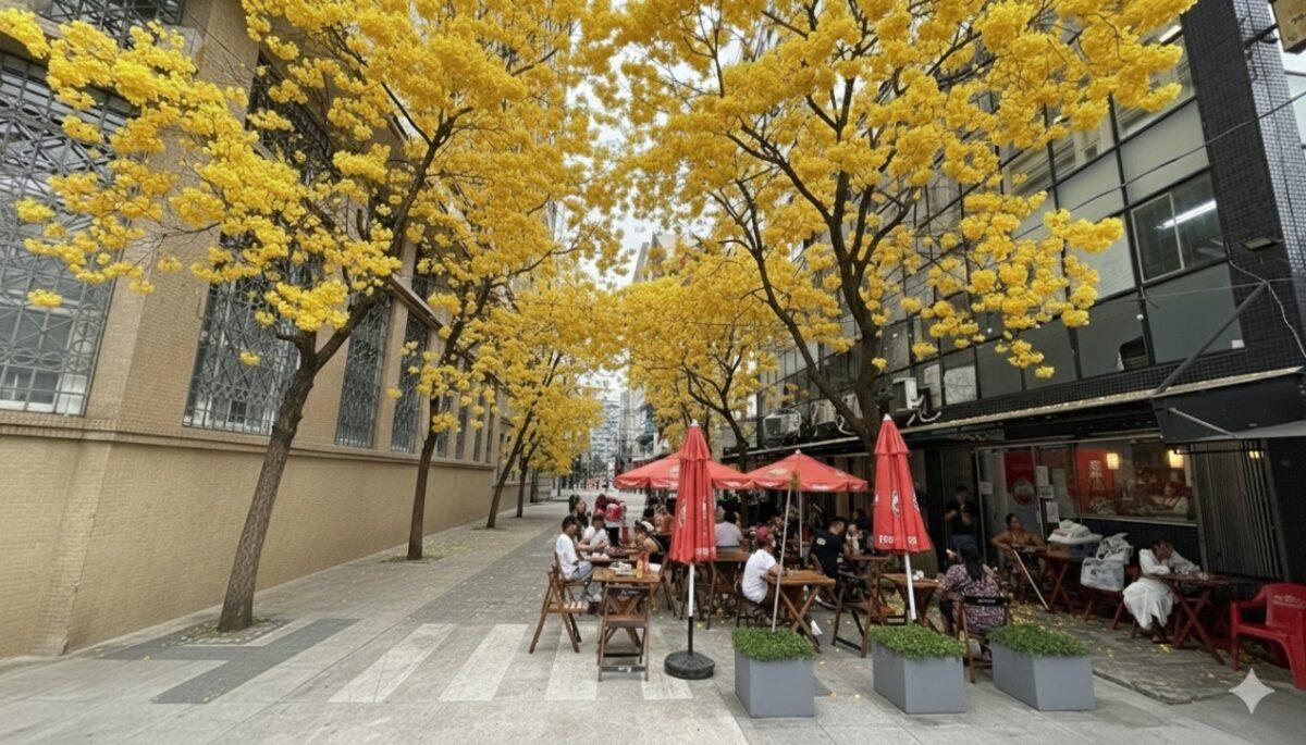 Arborização urbana na região Centro Leste de Florianópolis