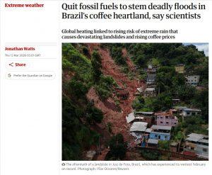 Produção de Café em Minas Gerais